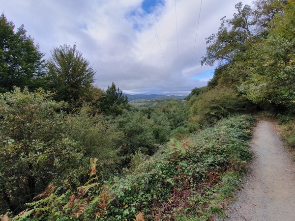 Green colours at the beginning of the Camino, early October