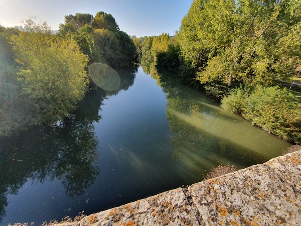 River Arga seen from Puenta de la Magdalena
