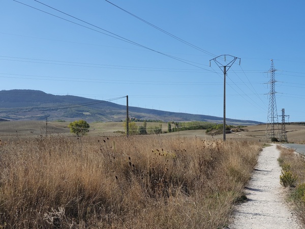 Just outside Pamplona. Lots of wind mills at the ridge in front.