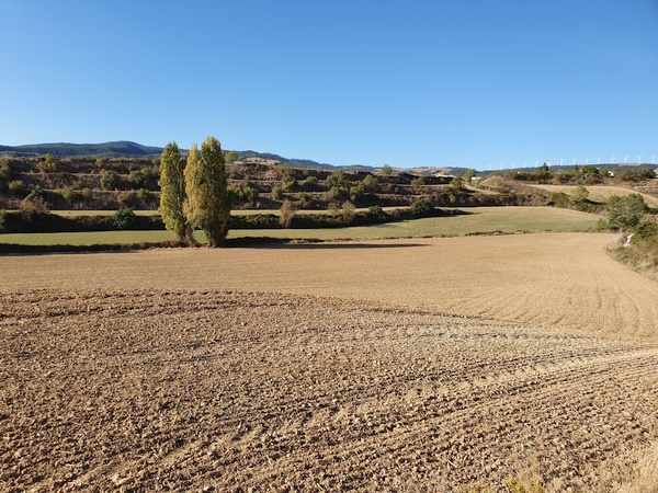 Farmland.  Lots of it.