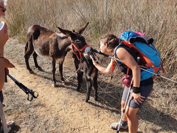 Eleonora and Carola were crazy with this little donkey and her foal. Shortly after Lorca.
