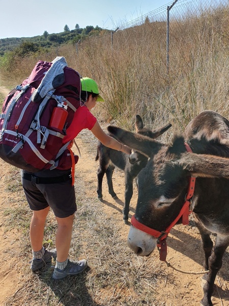 Eleonora and Carola were crazy with this little donkey and her foal. Shortly after Lorca.