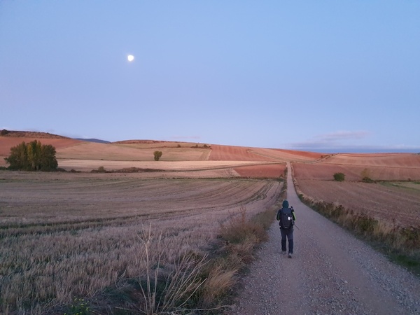 Just outside Ciriñuela in the morning cold at 08:06. The sun is starting to brighten the fields.