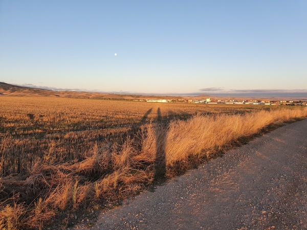 Sun is brightening the next village on the Camino, Santo Domingo de la Calzada