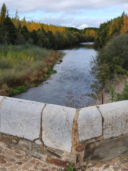 Órbigo. Autumn colours starting to show.