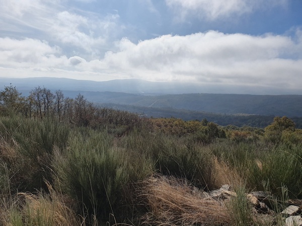 On day 19 we got into the mountains on a beautiful sunny day. The camera had to get out again and again. This is the first of many times. 1 km east of Foncebadón
