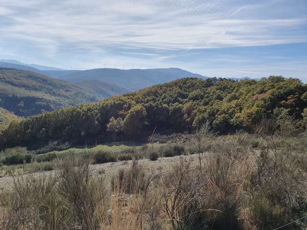 More scenery