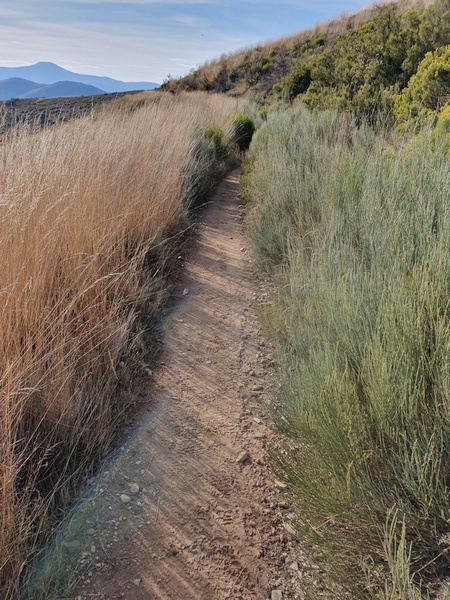 Mountain hiking at Manjarin. Over 1500 meter altitude.