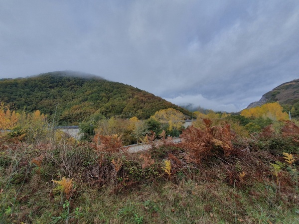 Day 22: Outside Trabadelo. On this day I wanted to take an alternative route into the mountains but with this cloud ceiling that would have meant zero visibility. Took the low route instead - but it turned out great later