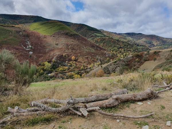 Shortly after La Faba. Now it gets really beautiful. This is probably THE best day of the entire camino walk. Look at those colours