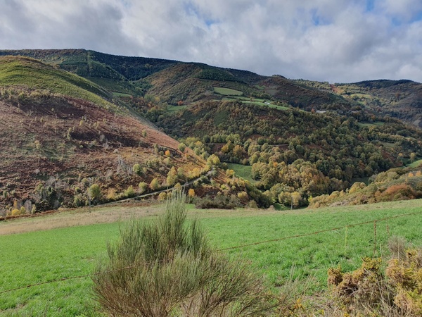 Shortly after La Faba. Now it gets really beautiful. This is probably THE best day of the entire camino walk. Look at those colours