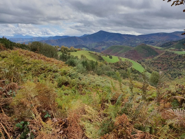 Shortly after La Faba. Now it gets really beautiful. This is probably THE best day of the entire camino walk. Look at those colours