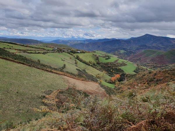Shortly after La Faba. Now it gets really beautiful. This is probably THE best day of the entire camino walk. Look at those colours
