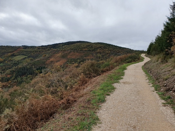 Climb to O'Cebreiro. But I did not know yet what to expect