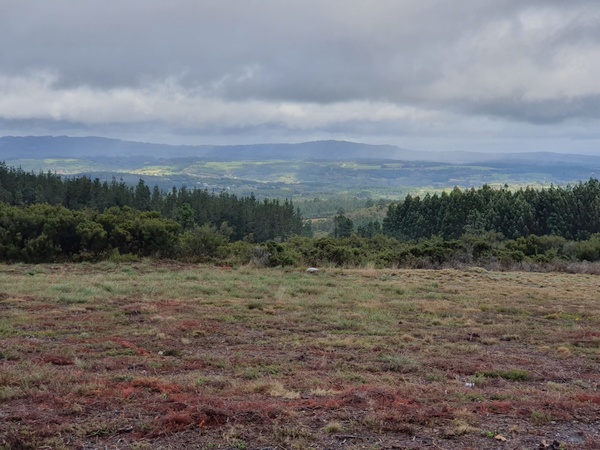 Scenic view near Castromaior