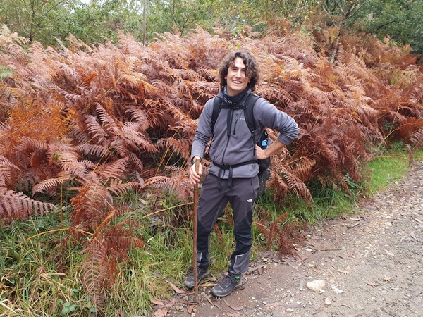 Elia at huge fern plants (Danish: "Bregne"). They could be found in Denmark too.