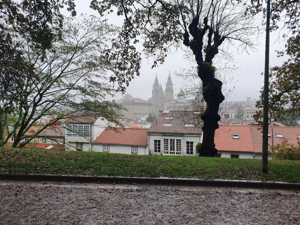 View of the Cathedral from a local park