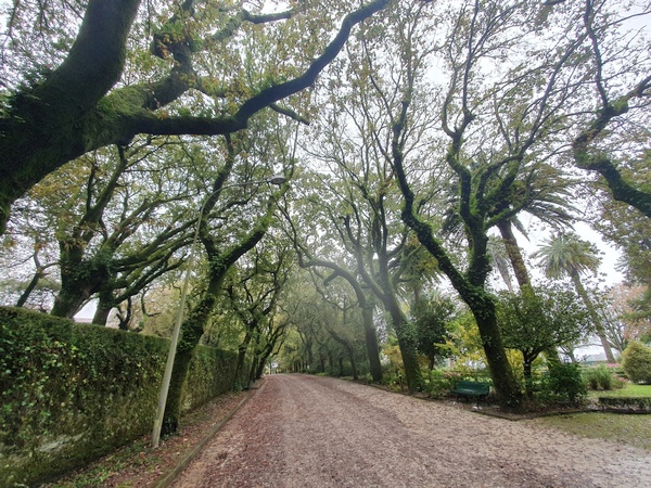 A walk in a local park